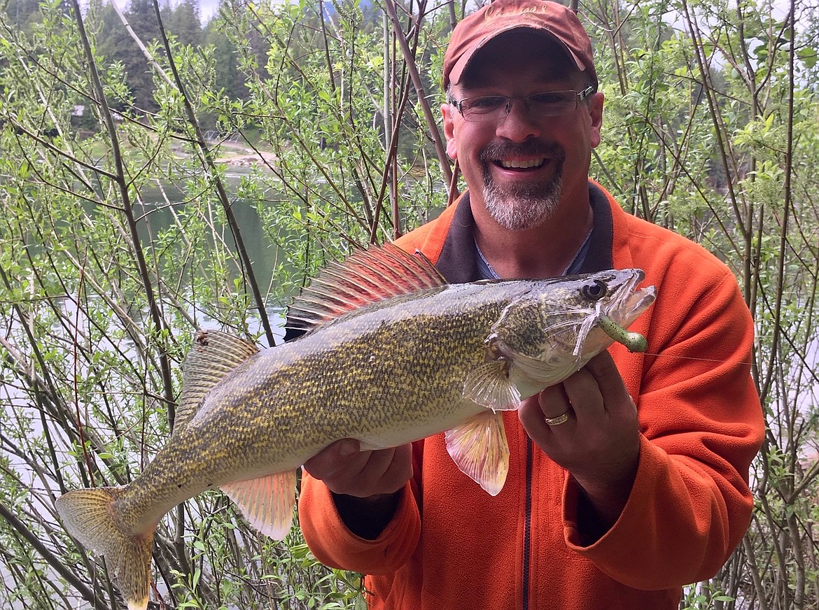 Three anglers catch walleyes implanted with 1,000 tags Coeur d'Alene